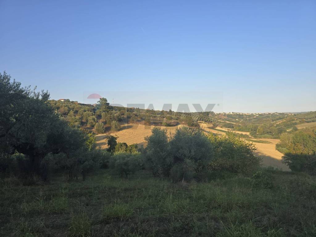 terreno in vendita a Moscufo in zona Senarica