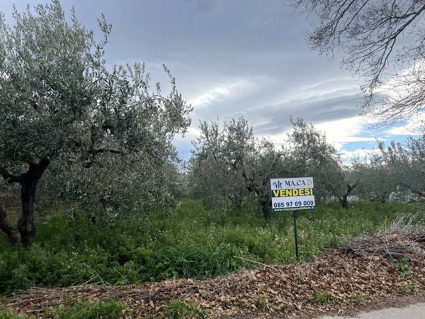 terreno agricolo in vendita a Nocciano in zona Fonteschiavo