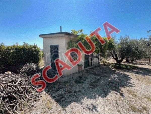 appartamento in vendita a Nocciano in zona Casali