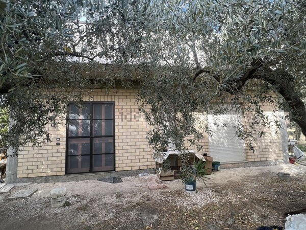 casa indipendente in vendita a Nocciano