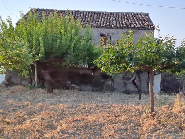casa indipendente in vendita a Nocciano