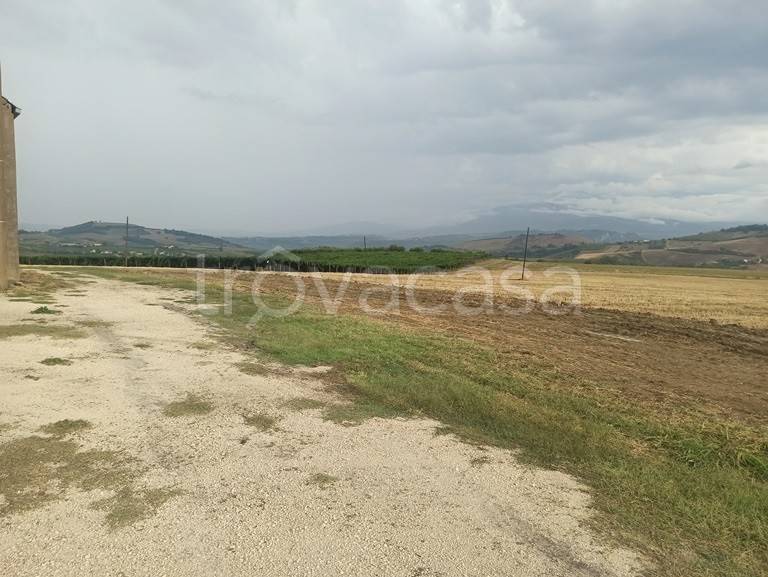 capannone in vendita a Nocciano in zona Collina