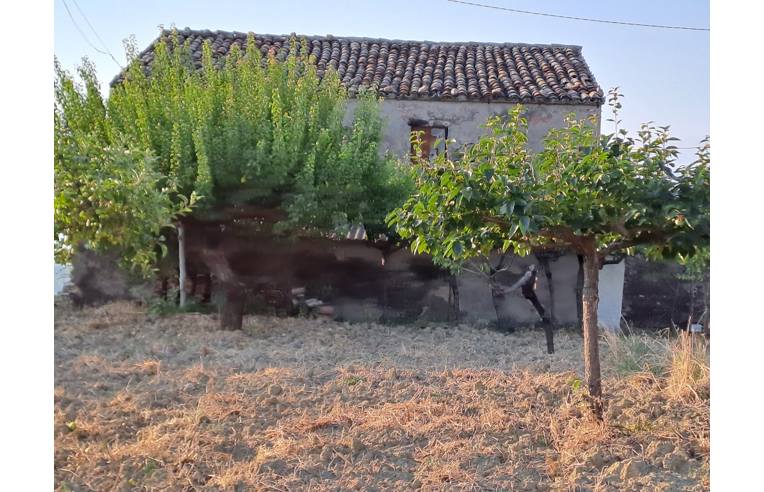 casa indipendente in vendita a Nocciano