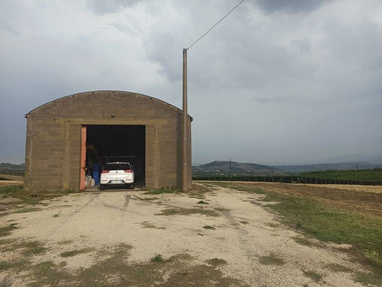 terreno agricolo in vendita a Nocciano in zona Collina
