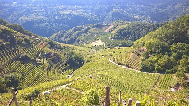 terreno agricolo in vendita a Penne in zona Colle Maggio