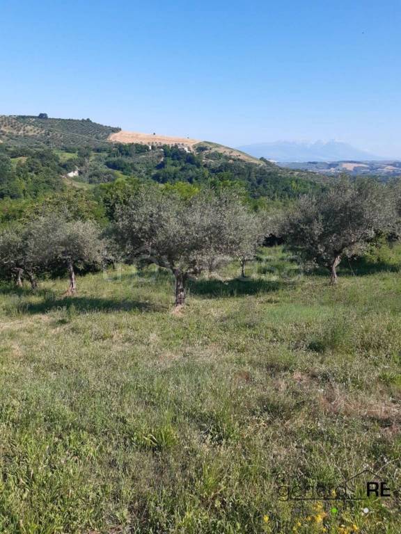 appartamento in vendita a Penne