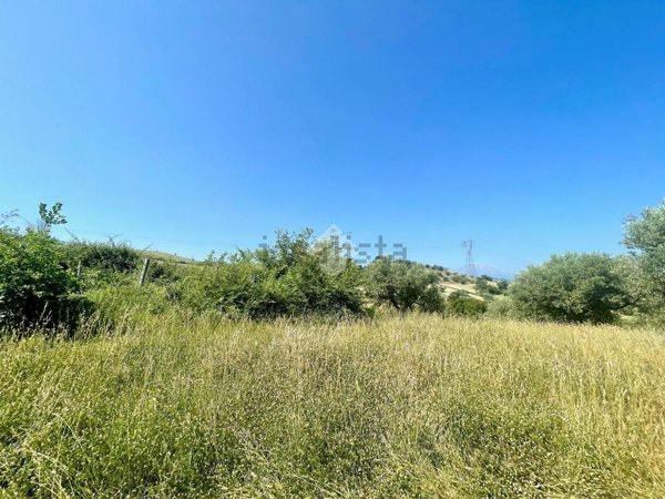 terreno agricolo in vendita a Penne