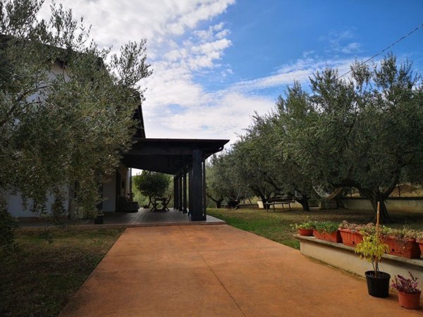 casa indipendente in vendita a Penne in zona San Pellegrino
