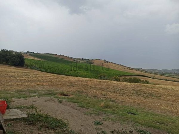terreno agricolo in vendita a Penne