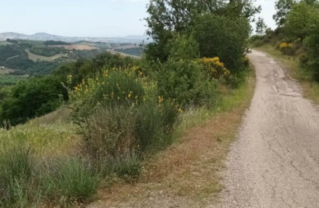 casa indipendente in vendita a Penne