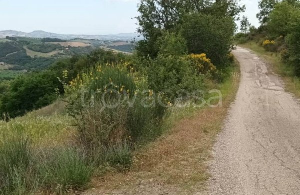 immagine annuncio 0 di 15