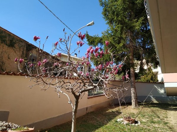 casa indipendente in vendita a Penne