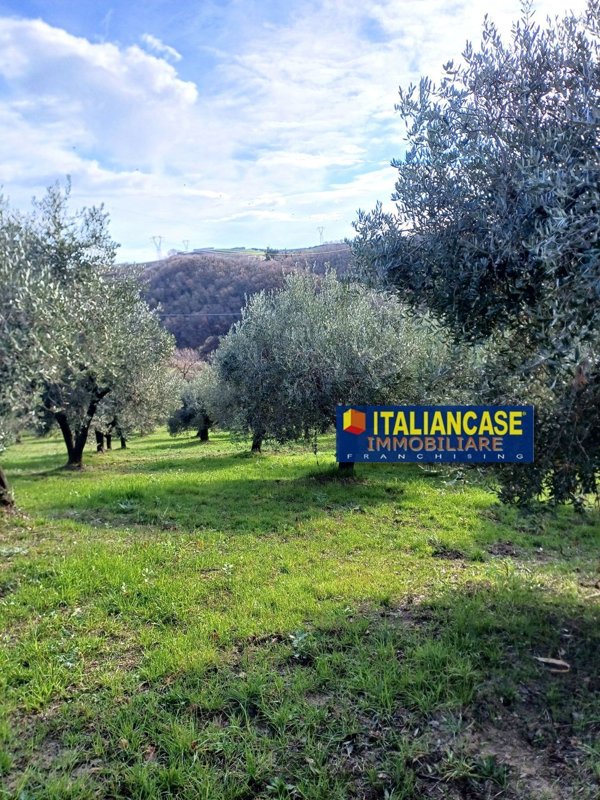 casa indipendente in vendita a Penne