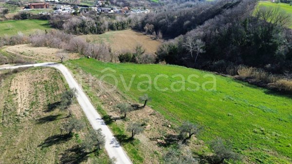 azienda agricola in vendita a Penne in zona Casale