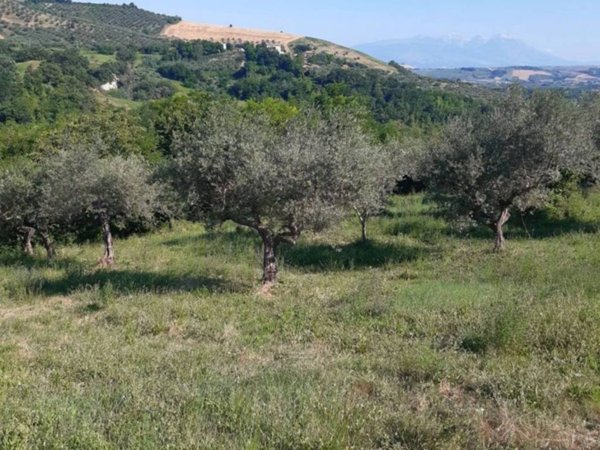 terreno agricolo in vendita a Penne in zona Porta Caldaia