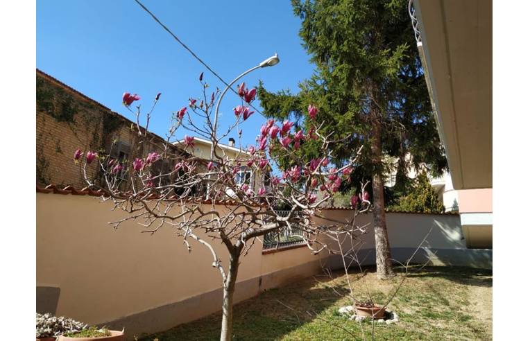 casa indipendente in vendita a Penne in zona Porta Caldaia