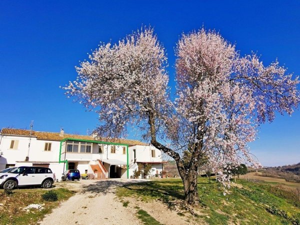 casa indipendente in vendita a Penne in zona Casale