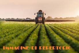 terreno agricolo in vendita a Pescara in zona Fontanelle