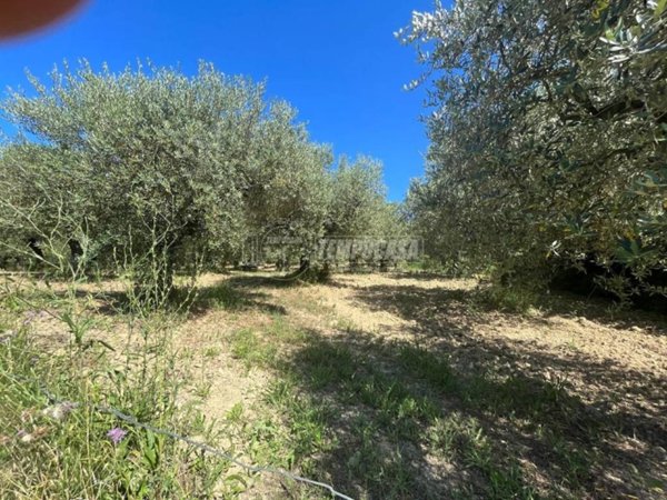 terreno agricolo in vendita a Pescara in zona San Silvestro