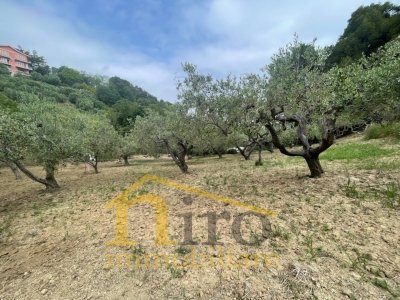terreno agricolo in vendita a Pescara in zona San Silvestro