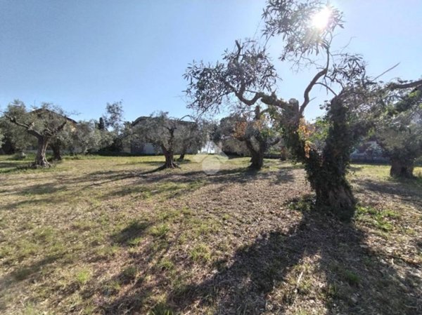 terreno agricolo in vendita a Pescara in zona Colle Scorrano