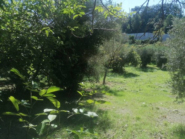 terreno agricolo in vendita a Pescara in zona Fontanelle