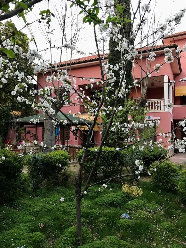 casa indipendente in vendita a Pescara