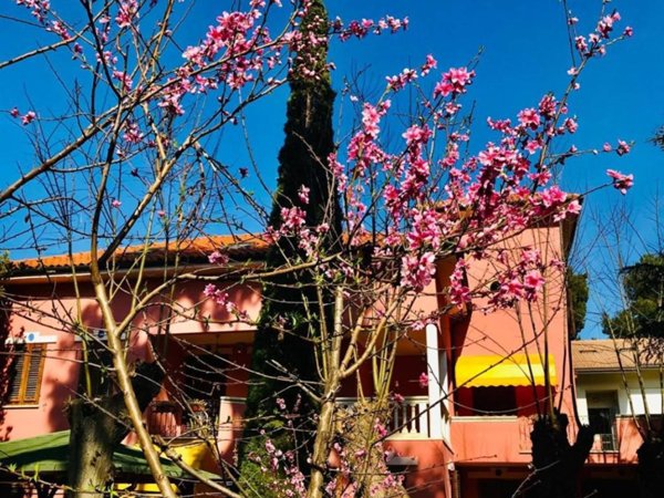 casa indipendente in vendita a Pescara