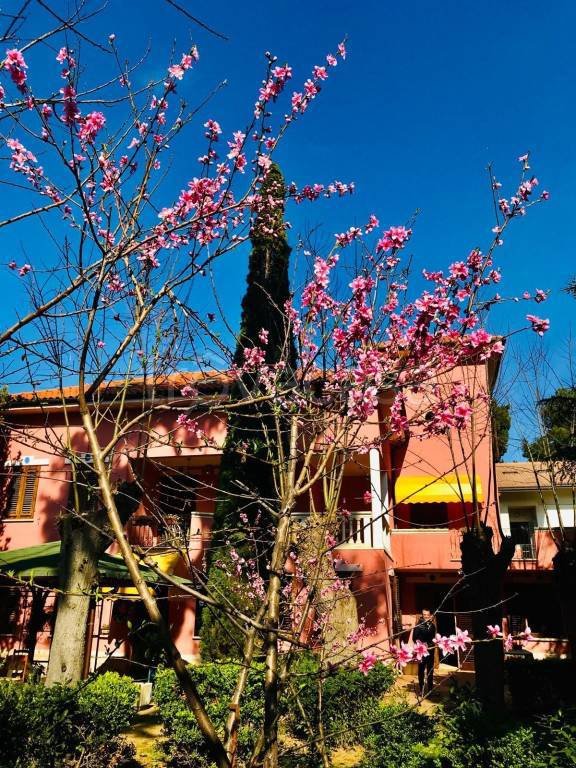casa indipendente in vendita a Pescara