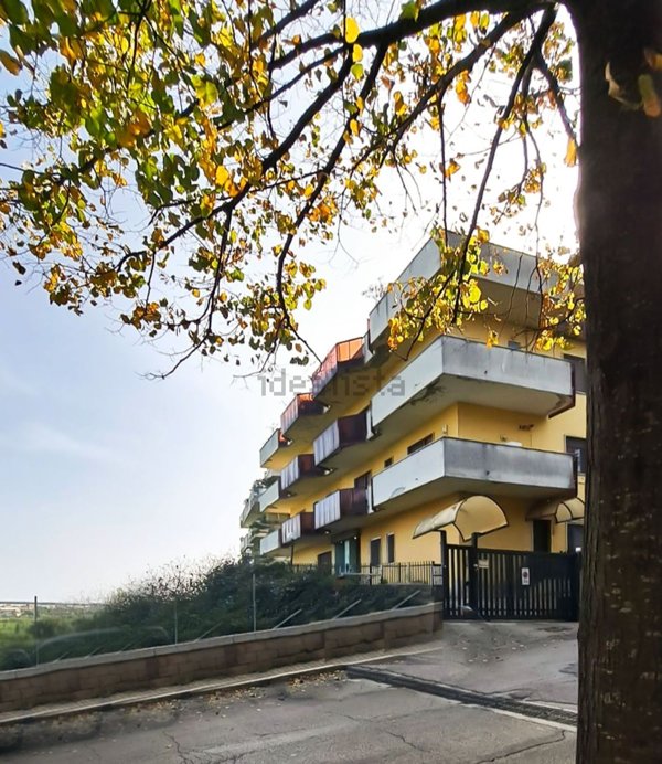 appartamento in vendita a Pescara in zona Pineta