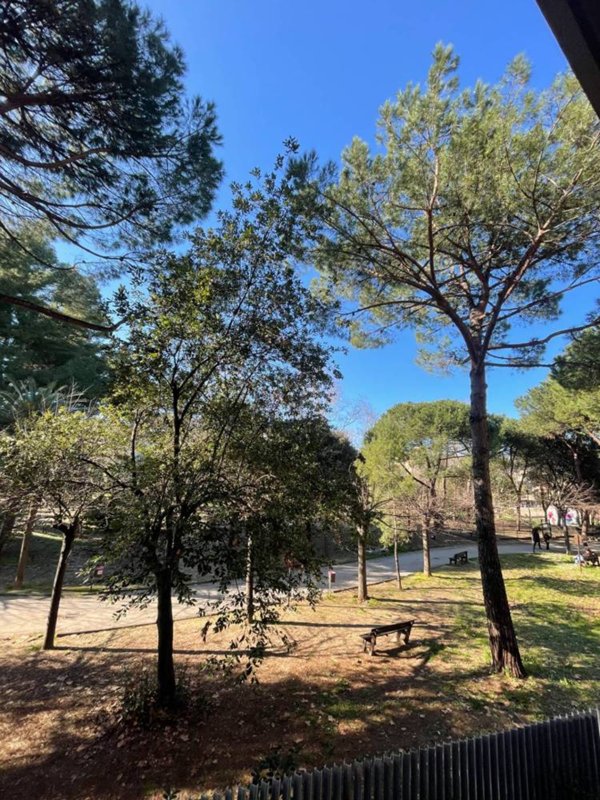 appartamento in vendita a Pescara in zona Centro Città