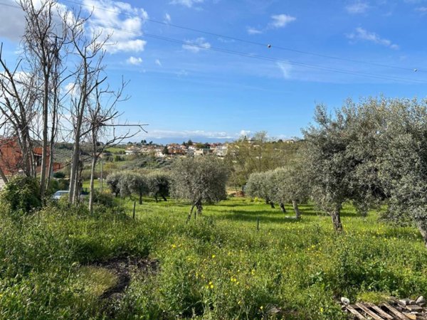 terreno agricolo in vendita a Pescara in zona San Silvestro