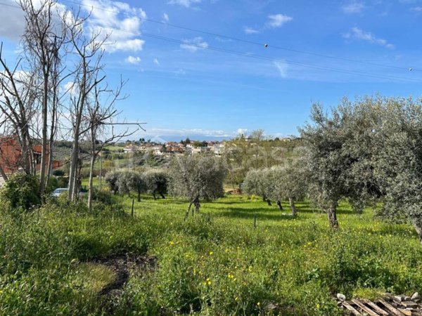 terreno agricolo in vendita a Pescara in zona San Silvestro