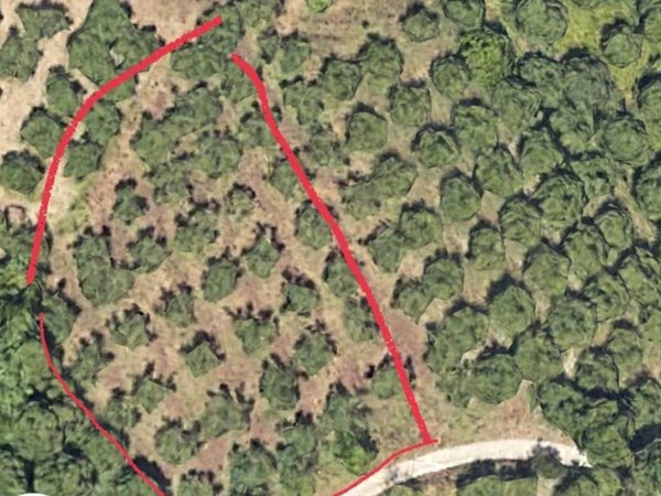 terreno agricolo in vendita a Pescara in zona Pineta