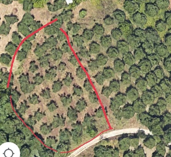 terreno agricolo in vendita a Pescara in zona Pineta