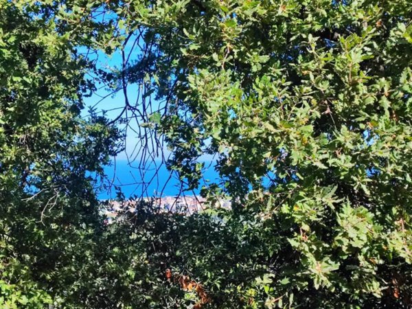 casa indipendente in vendita a Pescara in zona San Silvestro