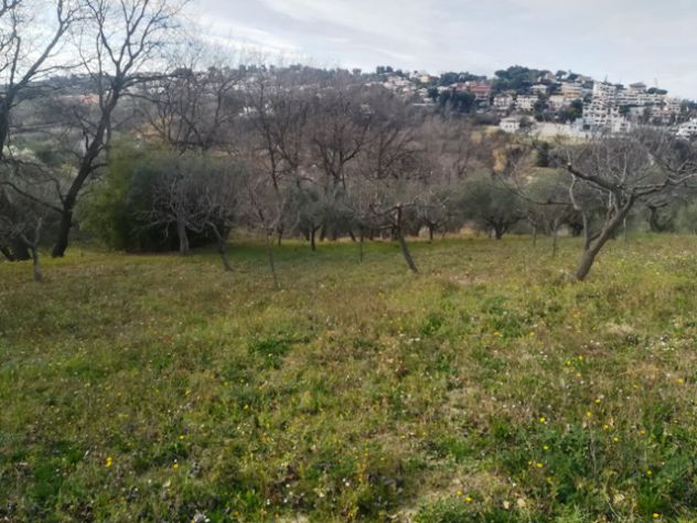 appartamento in vendita a Pescara in zona Centro Città