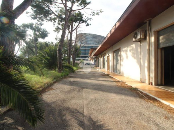 intera palazzina in vendita a Pescara in zona Porta Nuova