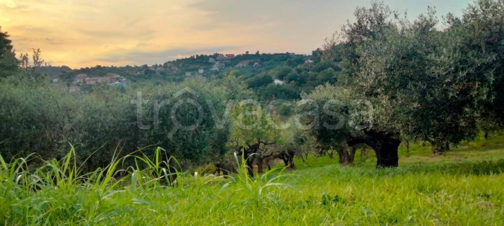 terreno agricolo in vendita a Pescara in zona Colle Innamorati
