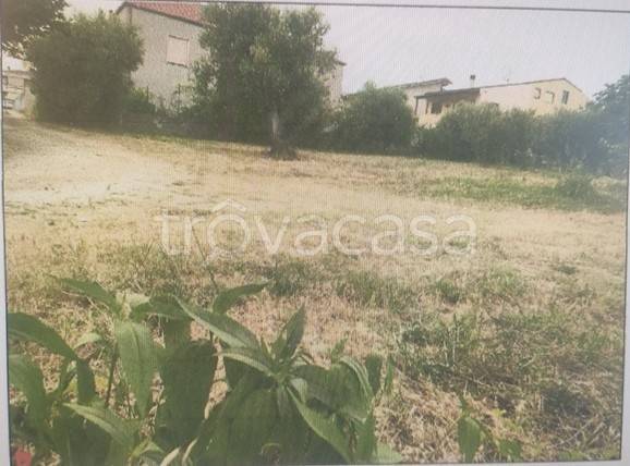 terreno agricolo in vendita a Pescara in zona San Silvestro