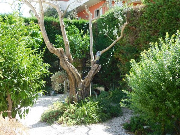 appartamento in vendita a Pescara in zona Ospedale