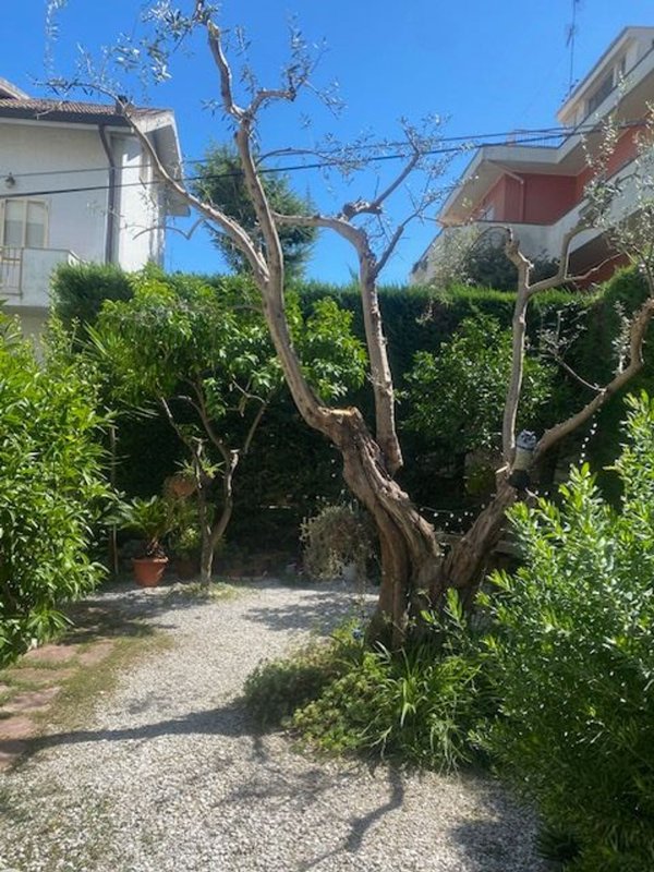 appartamento in vendita a Pescara
