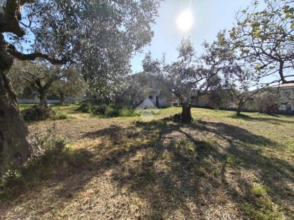 terreno agricolo in vendita a Pescara in zona Colle Scorrano
