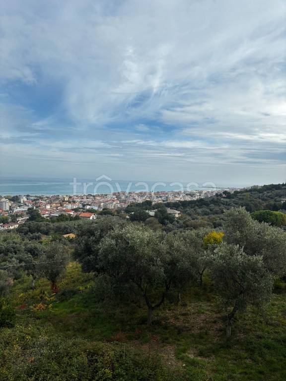 terreno agricolo in vendita a Pescara in zona Colle Scorrano