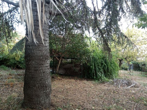 casa indipendente in vendita a Pescara in zona Colli Madonna