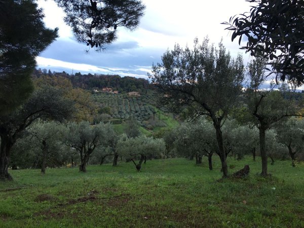 terreno agricolo in vendita a Pescara