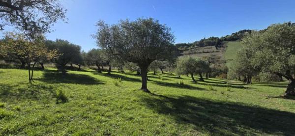 terreno agricolo in vendita a Pescara in zona San Silvestro