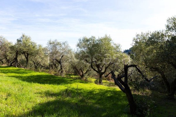 terreno agricolo in vendita a Pescara in zona Pineta