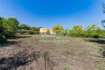 terreno agricolo in vendita a Pescara