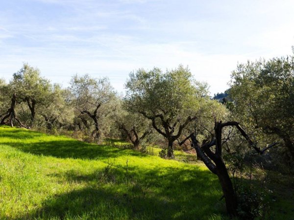 terreno agricolo in vendita a Pescara in zona Pineta